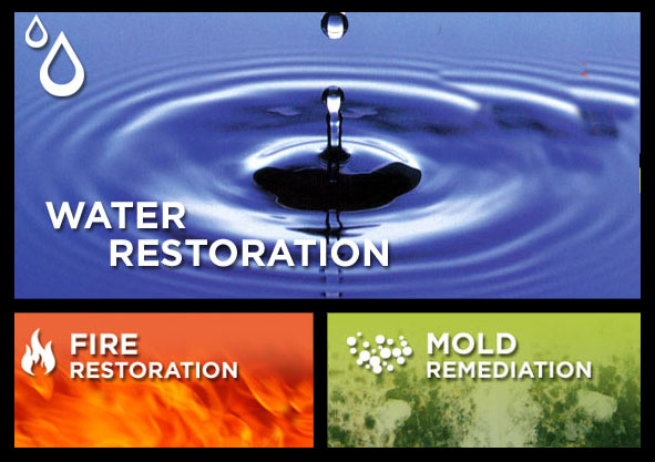 Mold Remediation, Water Damage Restoration services